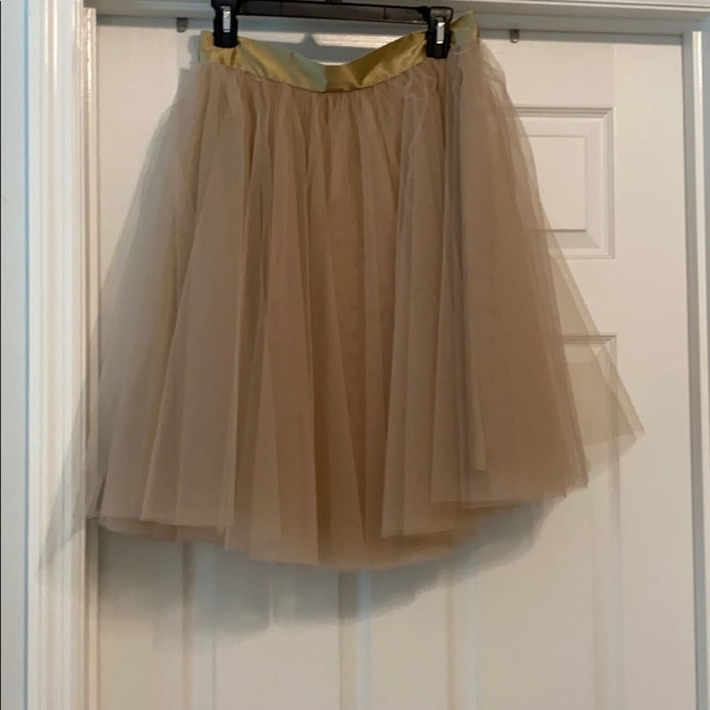 Tulle Skirt